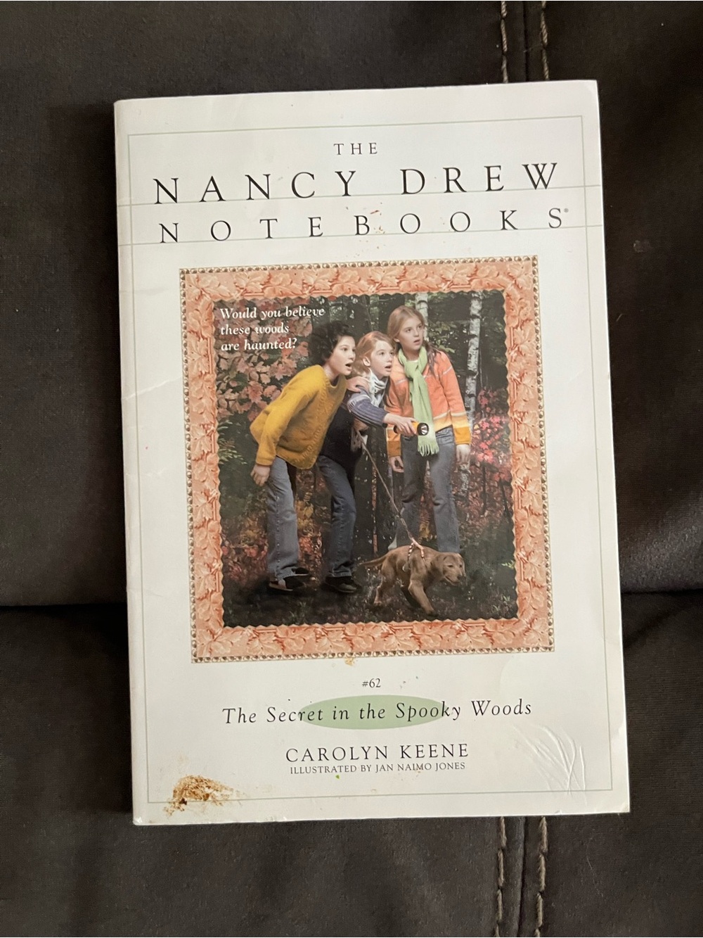 Paperbacks Nancy Drew Notebooks - White and Green Back Cover